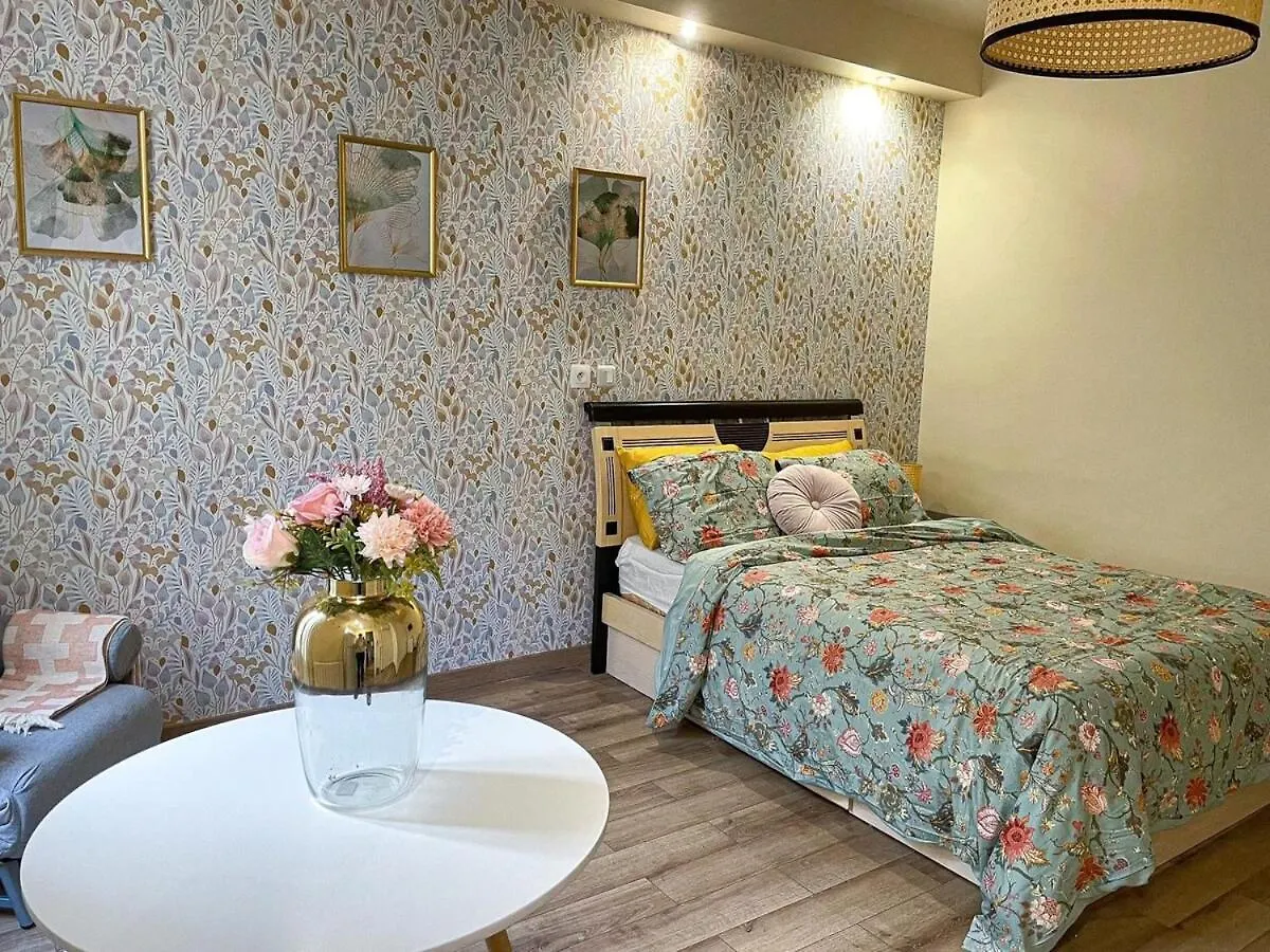 Petit Appartement Retro Francais Paris 10 Francie